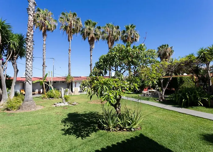 La Gaviota - Limoneros 펜션